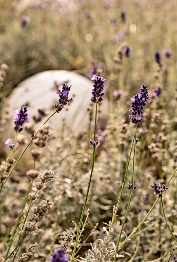 Apartment Schickes Mit Flussblick Am Medienhafen *